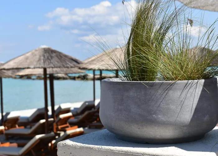 Πανσιόν Afrodite Seaside
