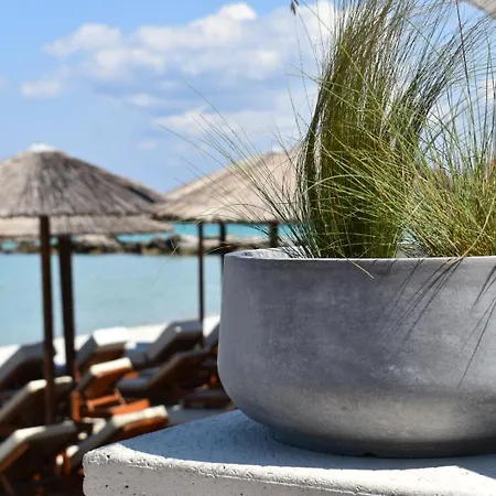 Πανσιόν Afrodite Seaside